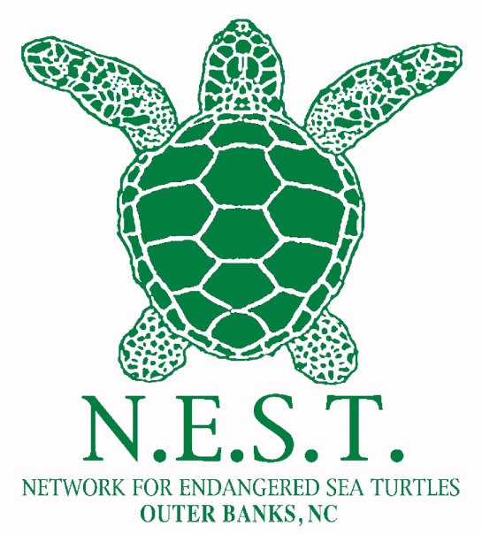 Network for Endangered Sea Turtles