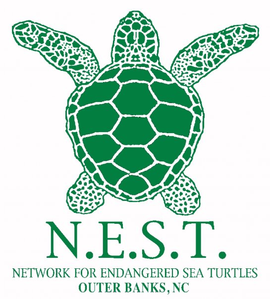 Network for Endangered Sea Turtles Network for Endangered Sea Turtles