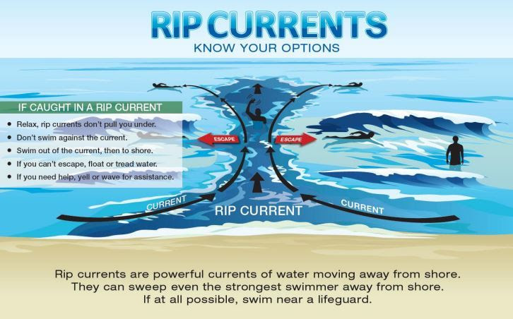 Rip Current Educational Chart