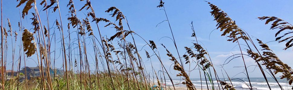 things to do on hatteras island