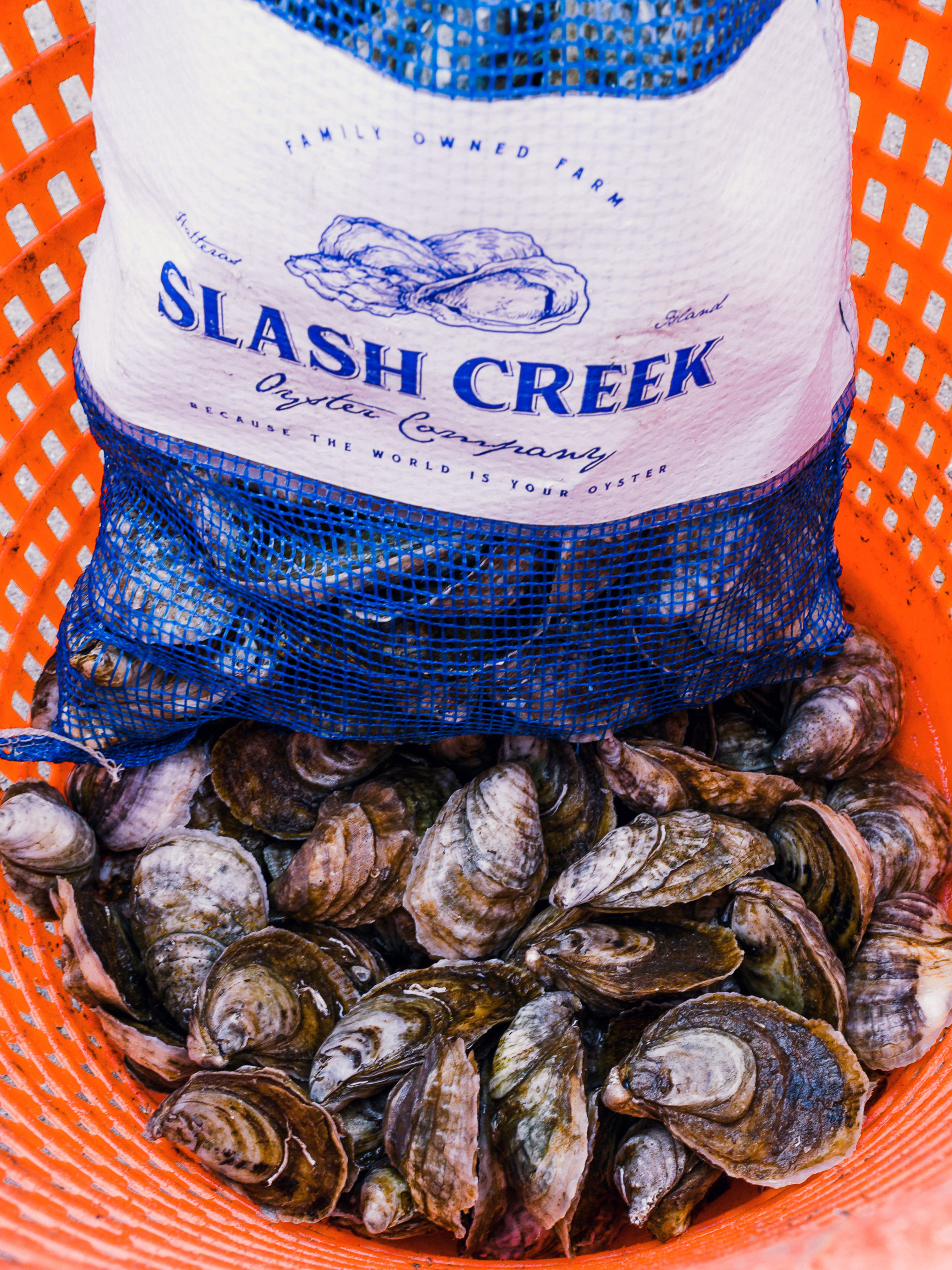 Image Provided by Slash Creek Oyster Company