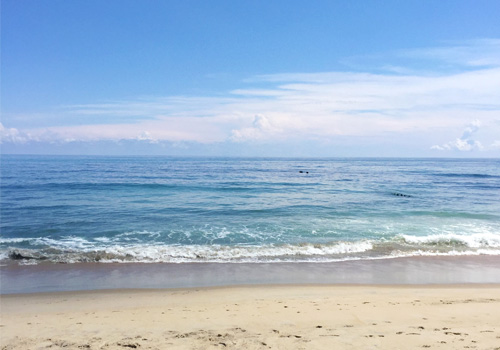 Ocean side scenery on Hatteras Island