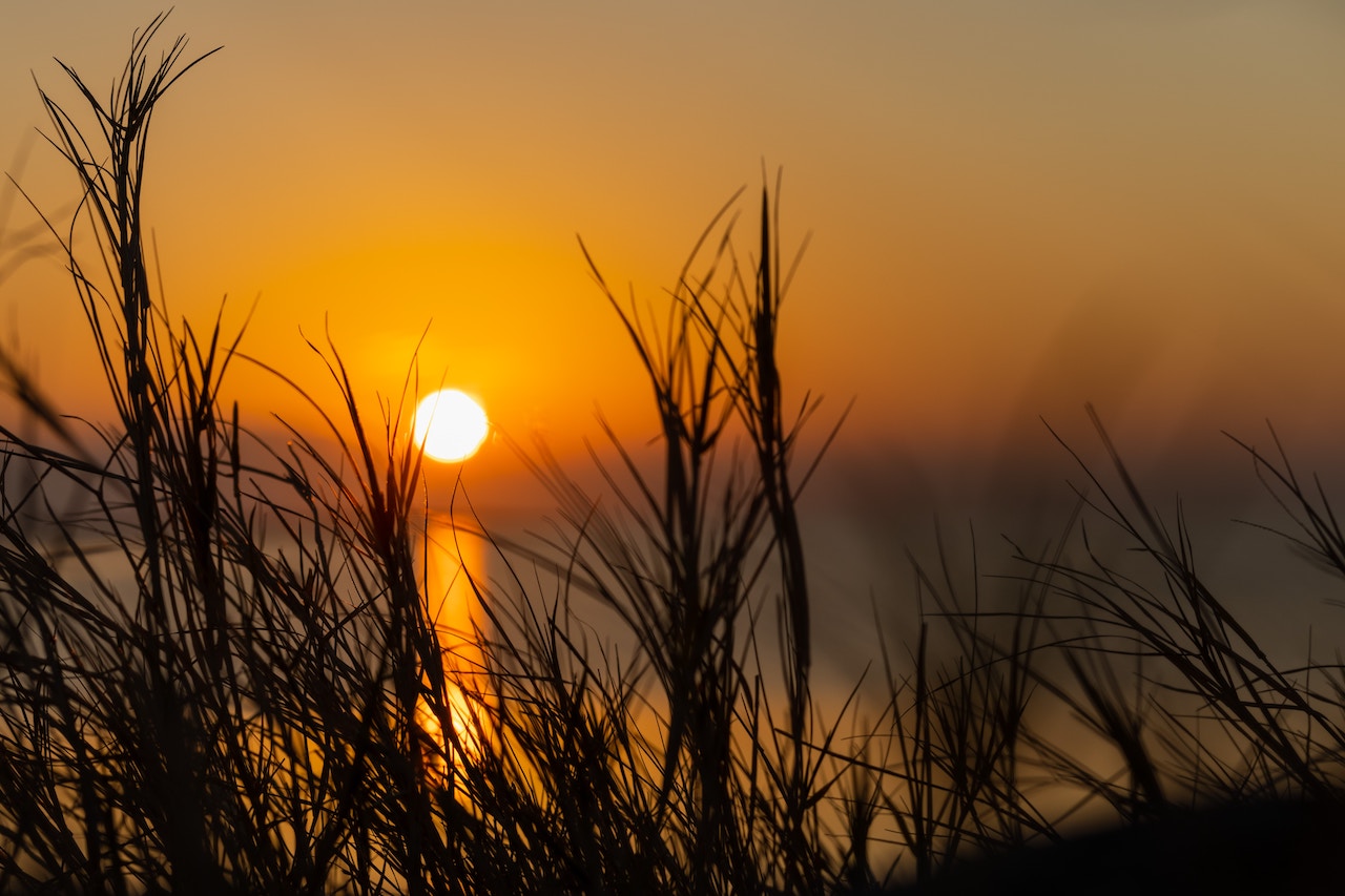 A sunset view on the beach