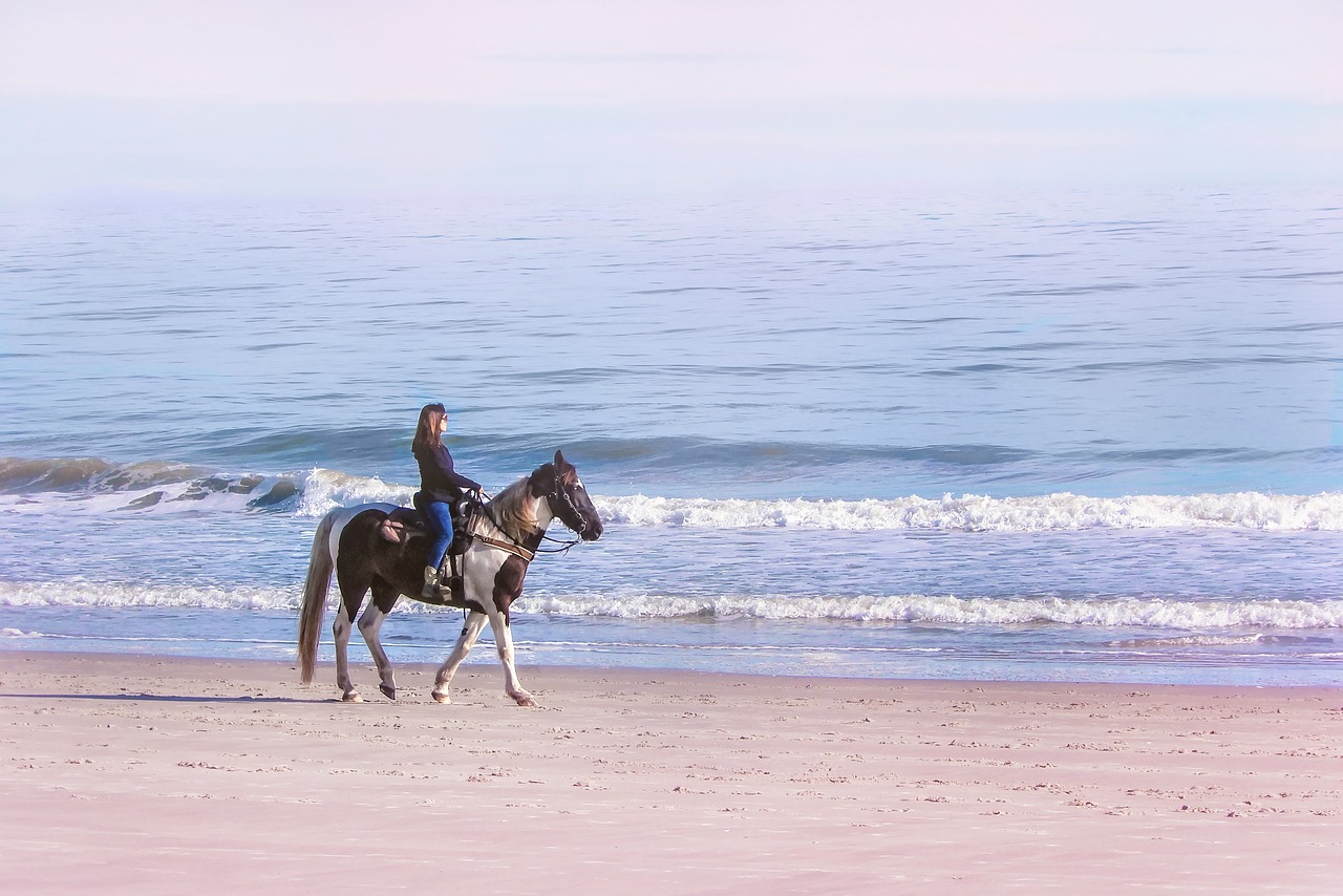 A woman riding a horse on the beach