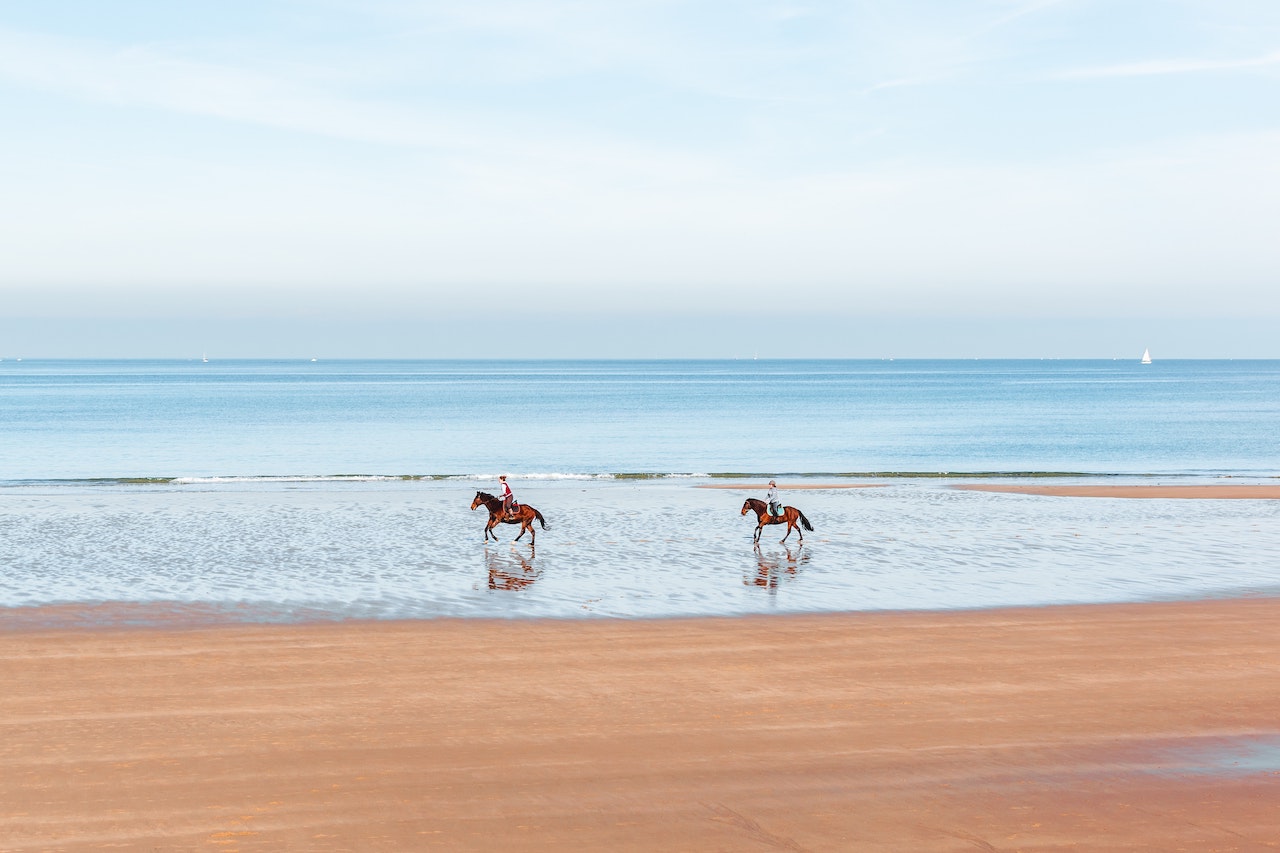 Two people on horseback on the seashore