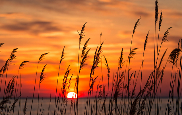 Rodanthe - Hatteras Island Vacation Rentals