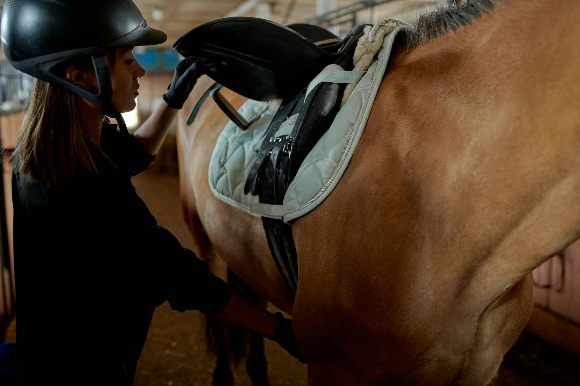 Horse Riding Hatteras Island Journey