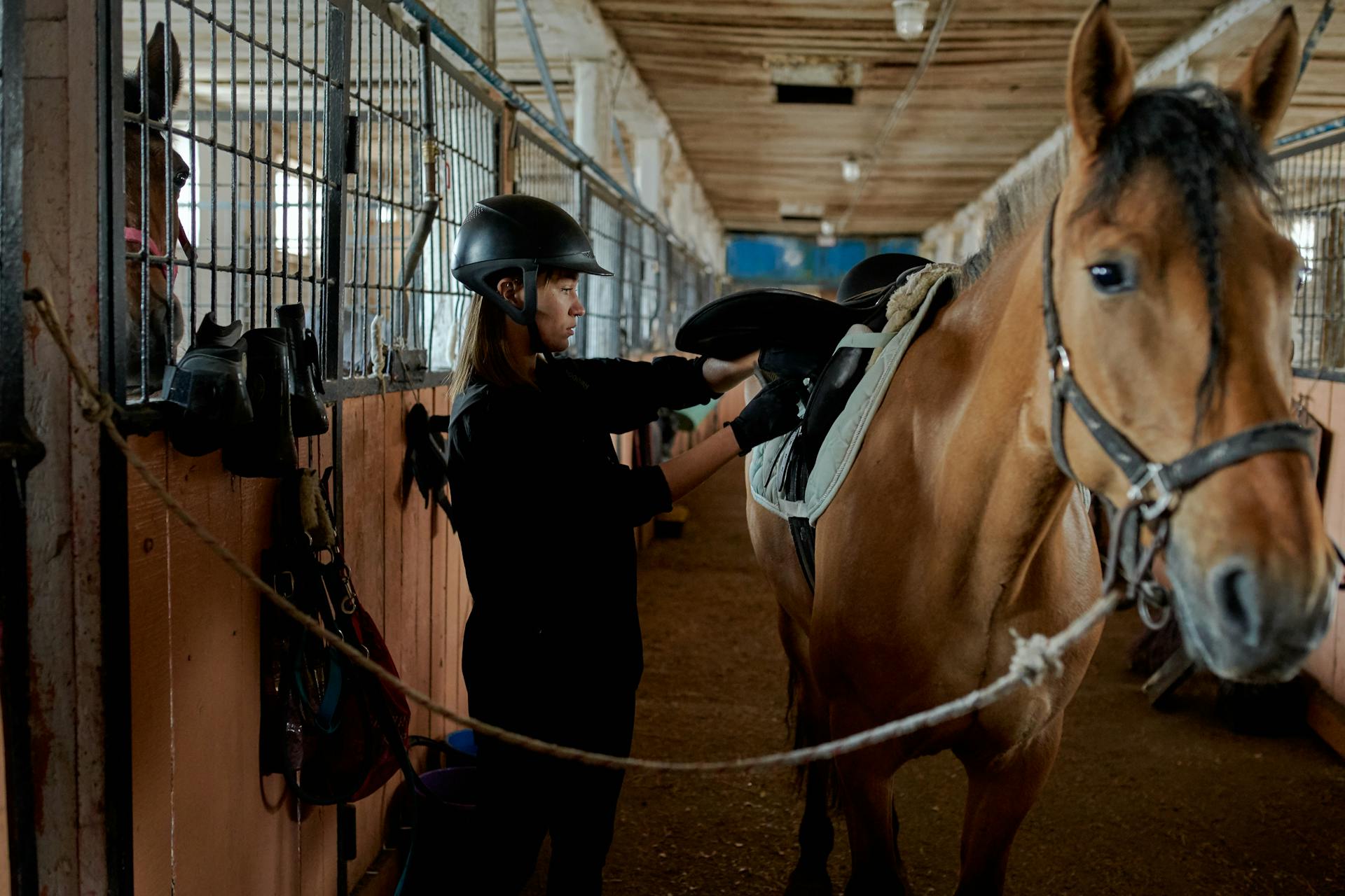 Horse Riding Hatteras Island Journey